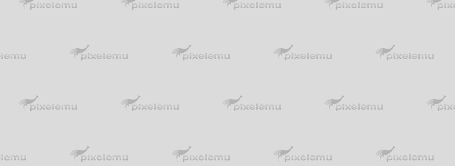 Quisque placerat lorem ipsum