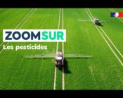 Zoom sur : les pesticides